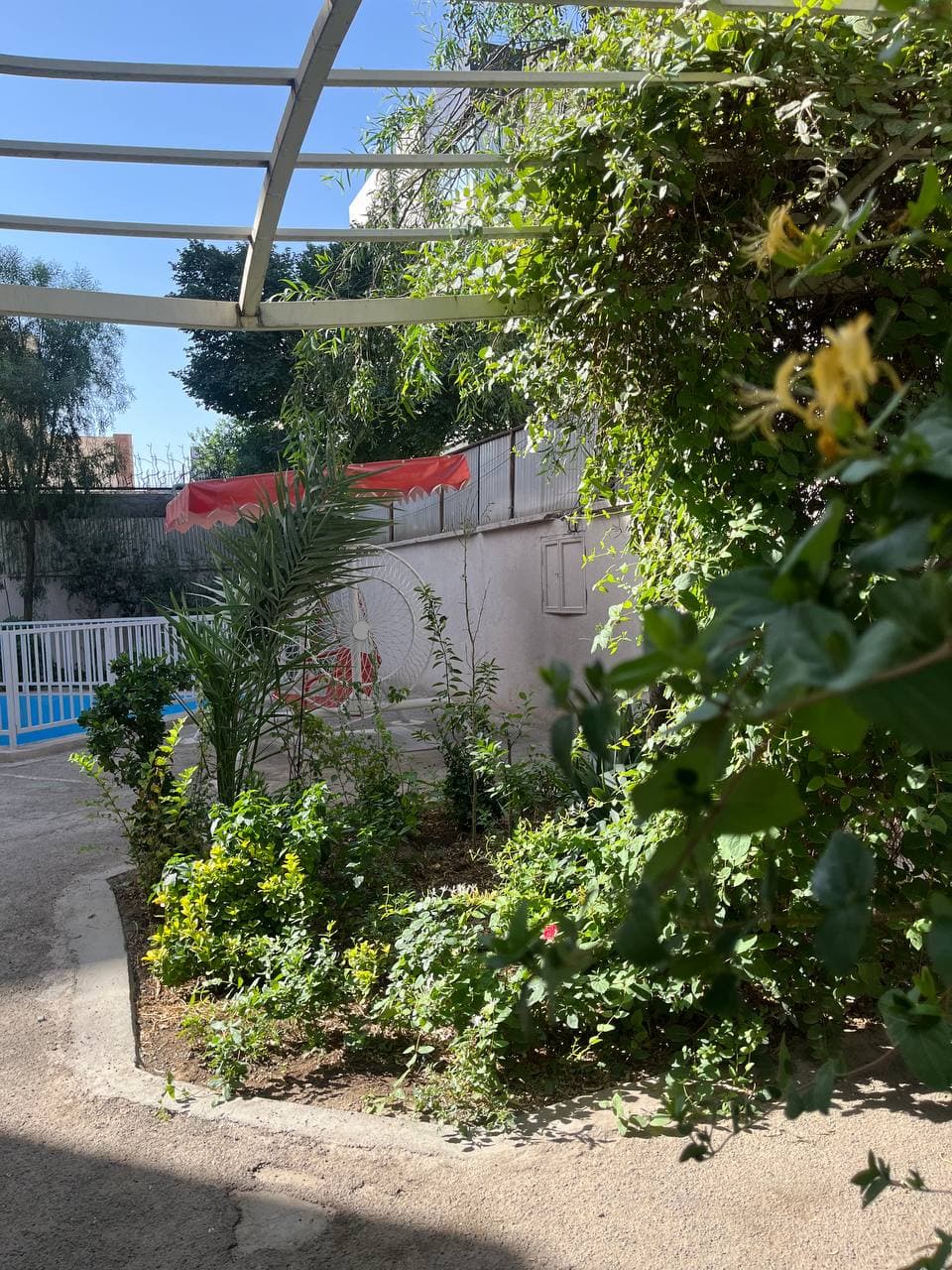 فضای مجموعه